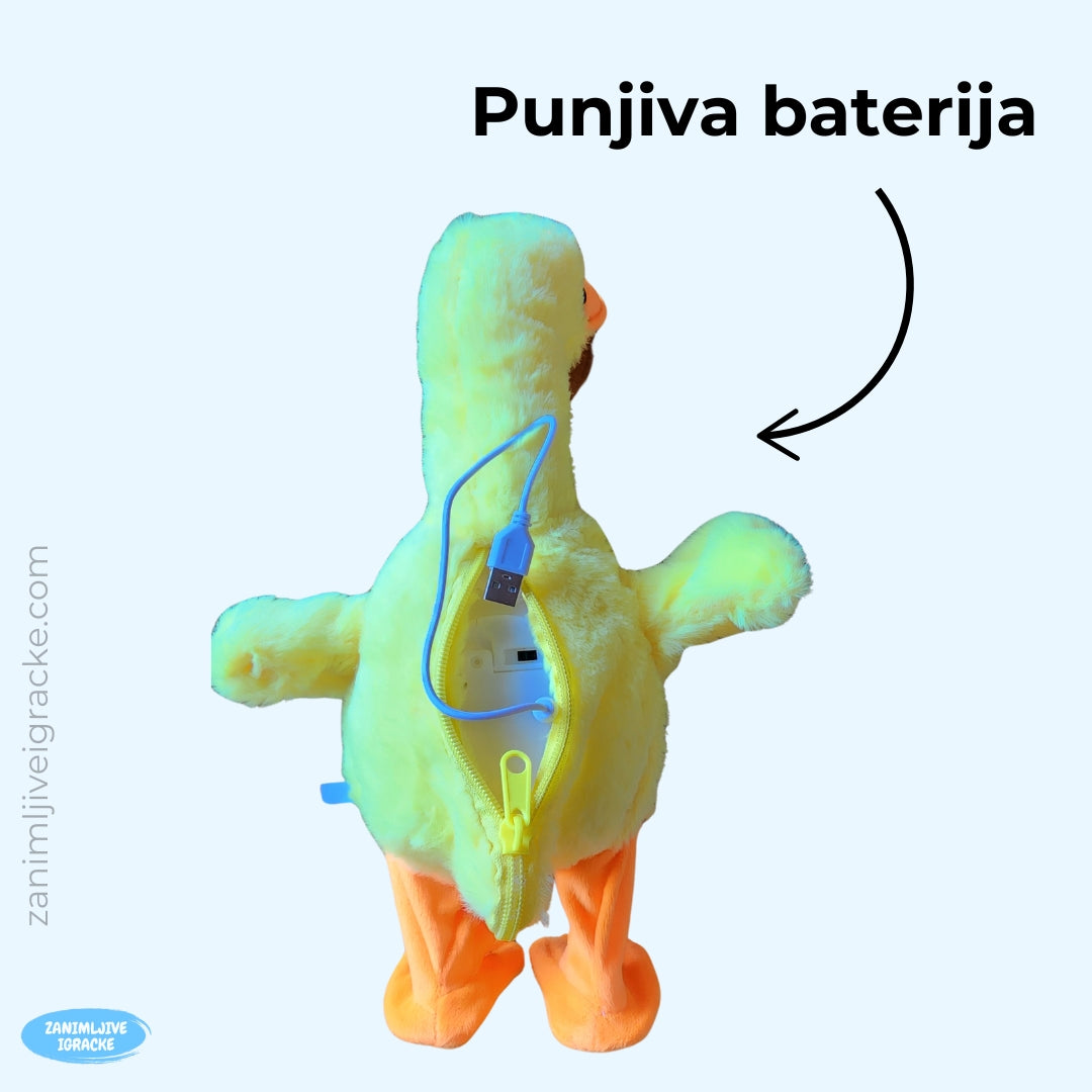 Pričajuća patka